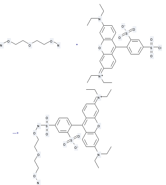 Lissamine rhodamine B sulfonyl chloride can react with O-[2-(2-Aminooxy-ethoxy)-ethyl]-hydroxylamine to get N-[1-Sulfonyl-6-(3, 6-diethylamino-xanthenyl)-3-sulfonamidophenyl]-3-oxapentane-1, 5-dioxyamine.